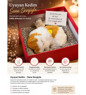Ses Çıkaran Sevimli Uyuyan Kedi Özel Kutusunda Melek Kar Küresi Hediyeli