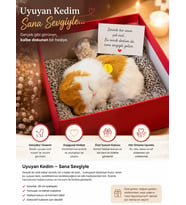 Ses Çıkaran Sevimli Uyuyan Kedi Özel Kutusunda Melek Kar Küresi Hediyeli
