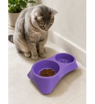 İkili Model Beton Kedi Köpek Mama ve Su Kabı (24cm × 12cm × 5cm) - Mor
