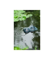 Hippo Dekoratif Figürlü Süs Havuzu Fıskiyesi