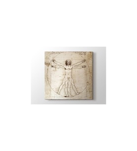 DBSanatevi Leonardo Da Vinci - The Vitruvian Man 1498 Tablo 40 X 60 Cm
