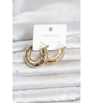 316L Çelik Gold Renk Bambu Model Halka Kadın Küpe TJ-BKP11828