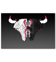 Cakatabloo Basket Ayakkabılarından Bulls Amblemi MDF Tablo