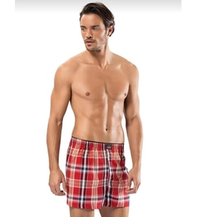 ERDEM 1440 ERKEK DESENLİ POPLİN BOXER 3 ADET