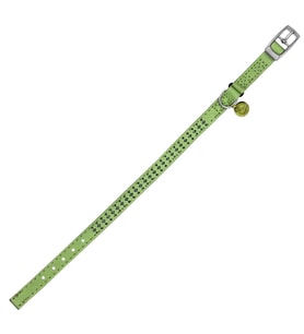 Royalist PC-13 Taşlı Kedi-Köpek Tasması 10mm*30cm Yeşil