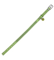 Royalist PC-13 Taşlı Kedi-Köpek Tasması 10mm*30cm Yeşil