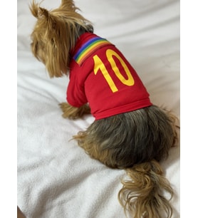 Uno Red Köpek Tişörtü