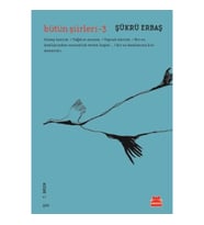 Bütün Şiirleri 3