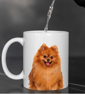 Evcil Hayvanlara Özel Portre Fotoğraf Tasarımılı Köpek Beyaz Kupa Bardak