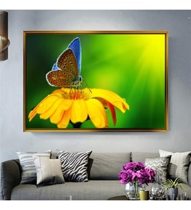 Altın Çerçeveli dekoratif tablo a337 (Gold)