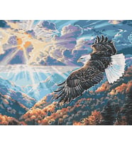 Göklerin Sahibi Sayılarla Boyama Seti 40x50 cm (Tuvale Gerili)