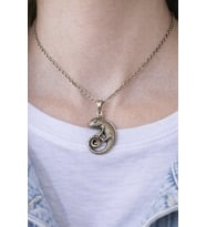 Spiral Chameleon – Bukalemun Figürlü Eskitme Gümüş Renk Unisex Kolye