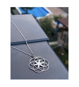 Yaşam Tohumu Gümüş Kolye (Gümüş)