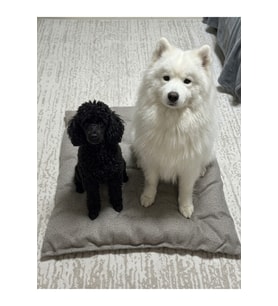 Yumuşak ve Geniş 65x65 cm El Yapımı Kedi Köpek Yatağı Minderi