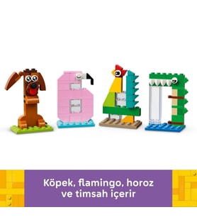 Doğum Günü Rakamları 40807