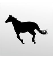 Folyo Sticker At 90 cm uzunluk (Karışık)