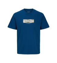 Jack & Jones JCOBREEZE Erkek Tişört Kısa Kollu Rahat Günlük