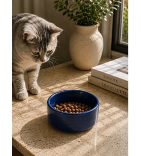 Kase Model Beton Kedi Köpek Mama ve Su Kabı (15cm çap × 5cm) - Lacivert