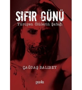 Sıfır Günü