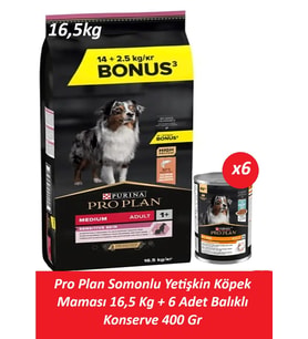 Pro Plan Somonlu Yetişkin Köpek Maması 16,5 Kg + 6 Adet Balıklı Konserve 400 Gr