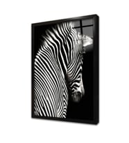 Yakın Çekim Zebra Çerçeveli Cam Tablo