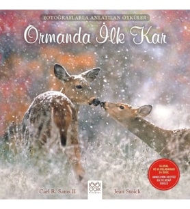 Fotoğraflarla Anlatılan Öyküler - Ormanda İlk Kar