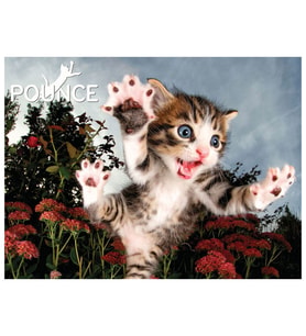 Prime 3D Kedi Pençesi Puzzle 100 Parça 10562