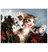 Prime 3D Kedi Pençesi Puzzle 100 Parça 10562