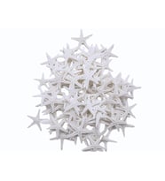 Polyester Deniz Yıldızı Minik Boy  0.5 CM- 1.5 CM (100 Adet)  Beyaz