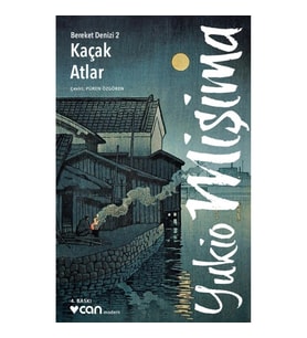 Kaçak Atlar Bereket Denizi: 2