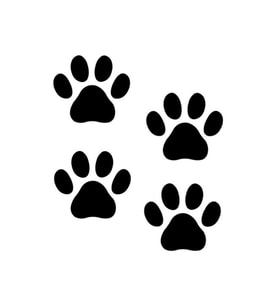 Kedi Patisi Oto Sticker, Araba Sticker, Araç Sticker 20 cm x 20 cm 8 Adet Gönderim