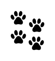 Kedi Patisi Oto Sticker, Araba Sticker, Araç Sticker 20 cm x 20 cm 8 Adet Gönderim