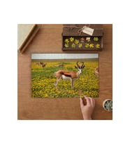 Yeşil Alanda Antiloplar Tasarımı 240 parça Ahşap Puzzle Ahşap Kutuda MP05629