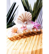 Monalisa Home 10 cm Lüks Gösterişli Renkli Kıstırma Toka