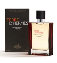 Terre d'Hermès, Eau de Parfum Intense 100ML Erkek Parfüm