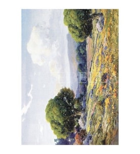 Artebella 1388K Büyük Kolay Transfer 23x34 cm 