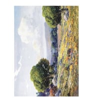 Artebella 1388K Büyük Kolay Transfer 23x34 cm 