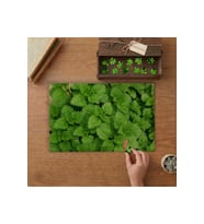 Isırgan Otu Bahçesi Tasarımı 240 parça Ahşap Puzzle Ahşap Kutuda MP01799