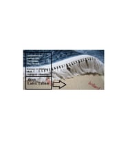 Brillant İpek Latex Oval Kaymaz Taban Halı-FASHİON HJE11693.802-(150x230)