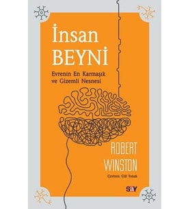 İNSAN BEYNİ: Evrenin En Karmaşık ve Gizemli Nesnesi