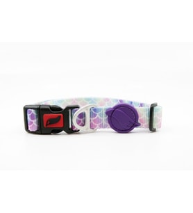 Tailpetz Weecol Bubbles Collar Köpek Boyun Tasması S Boynu 25-40cm Köpeklere (Karışık)