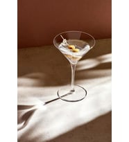 Paşabahçe Nude 6 Lı Vintage Martini Kadeh 290 cc 66114