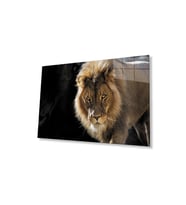 Aslan Cam Tablo 4mm Dayanıklı Temperli Cam (Çok Renkli)