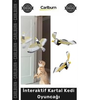 #Petshop Hareketli Kanatlı Pilli Avlanma İçgüdüsü Destekleyen Egzersiz İnteraktif Kartal Kedi Oyunca