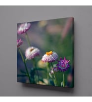 PEMBE BEYAZ ÇİÇEKLER KANVAS TABLO 110x110cm (Karışık)