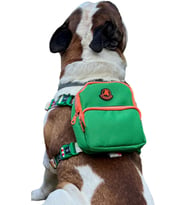 Gimme Five Yeşil Çantalı Göğüs Tasması, Köpek Sırt Çantası – Göğüs Tasması İşlevli, Geri Dönüştürülmüş Malzeme, Ayarlanabilir, Çok Cepli, 5 Renk Seçenekli, Şık ve Fonksiyonel Recycled