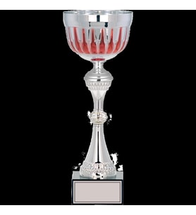 ODAK KUPA - Large Kupalar - L-039 A - 38 cm