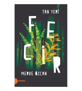 Tan Yeri II - Fecir