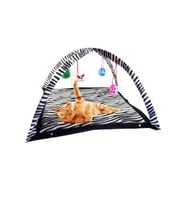 Renkli Zebra Desenli Askılı Kedi Oyun Yatağı 55x55x34 cm
