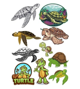 Kaplumbağa Sticker Set-1 10 Parça Telefon, Tablet, Defter, Laptop Sticker